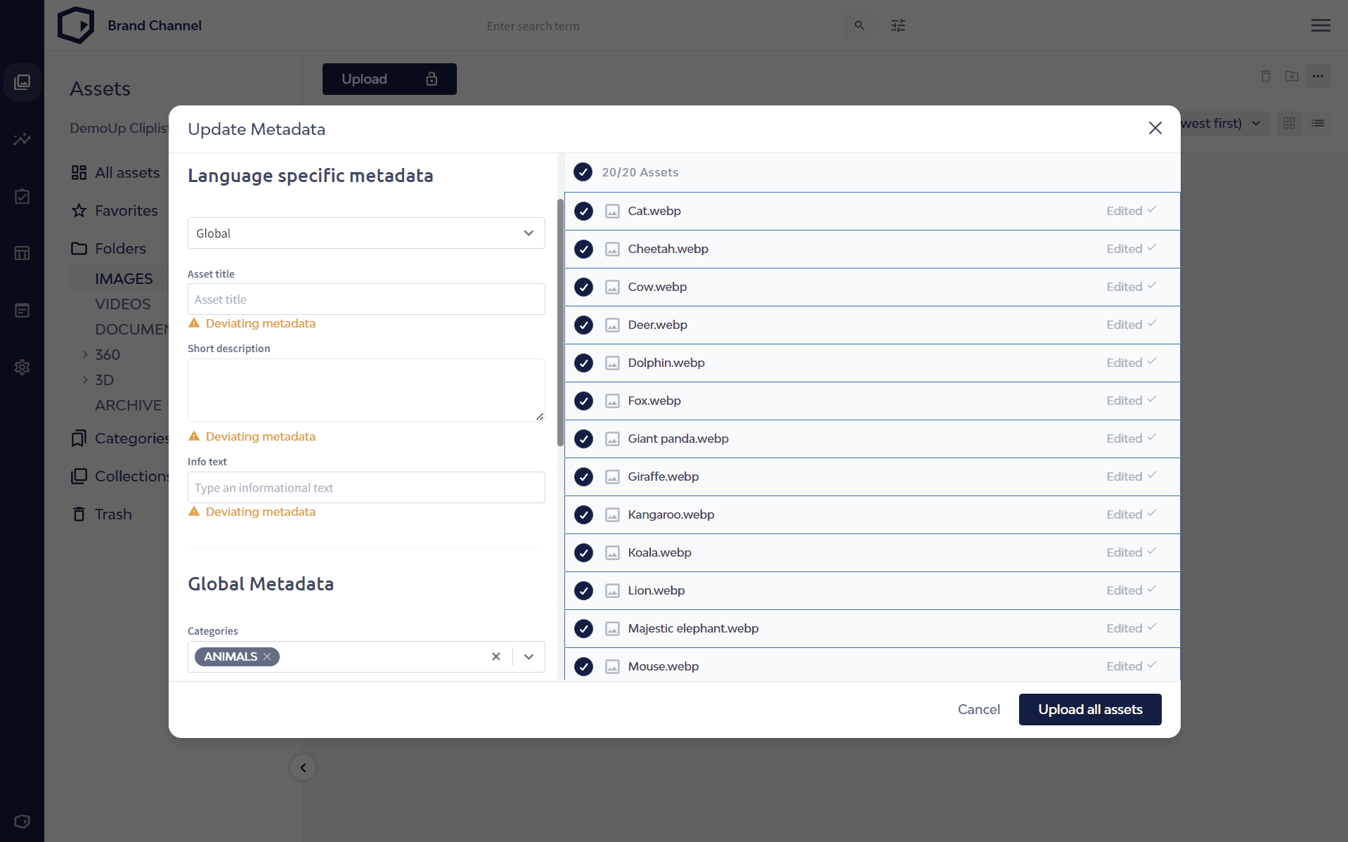 Die DemoUp Cliplister User-Interface zeigt abweichende Metadaten-Warnungen.